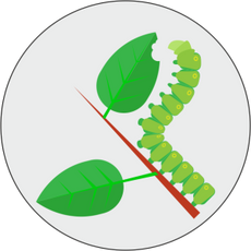 Fungicides