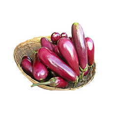 Brinjal