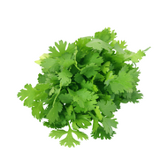 Coriander